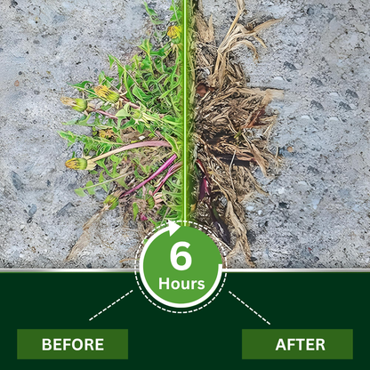 ✨ Eradicate Weeds Safely! | ⏱️ Glyphosate-Free & 6-Hour Results! | REKULO® 2 in 1 Max Power Herbicide