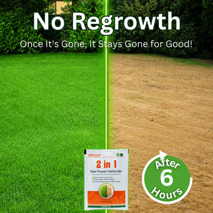 ✨ Eradicate Weeds Safely! | ⏱️ Glyphosate-Free & 6-Hour Results! | REKULO® 2 in 1 Max Power Herbicide