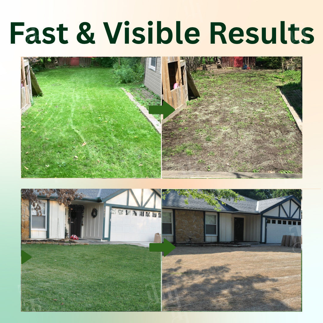 ✨ Eradicate Weeds Safely! | ⏱️ Glyphosate-Free & 6-Hour Results! | REKULO® 2 in 1 Max Power Herbicide