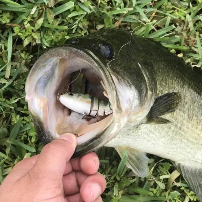 🔥Bionic Lure – Catch Big Fish Fast! 🎣