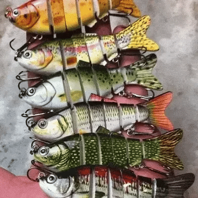 🔥Bionic Lure – Catch Big Fish Fast! 🎣